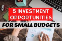 How To Effectively Budget For Investment Opportunities