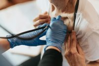 What Are The Risks Of Skipping Regular Health Checkups