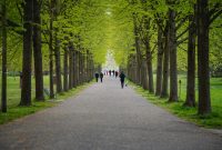 How Can Exercise Improve Mental Health And Wellbeing