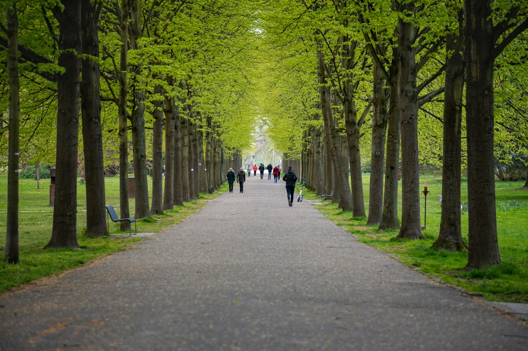 How Can Exercise Improve Mental Health And Wellbeing